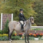 Lizzy & Opus GHJA Pony Medal Finals`