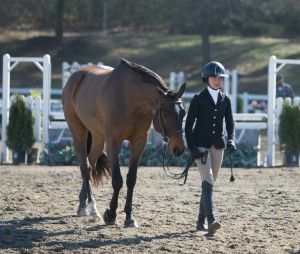 Julia and Lion- 1st Show doing the Small JRS!!
