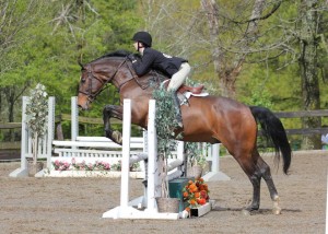 Sydney and Lion